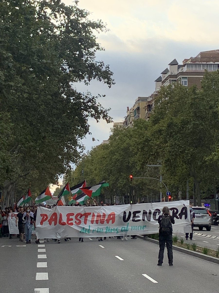 Comunitat Palestina Catalunya tweet media