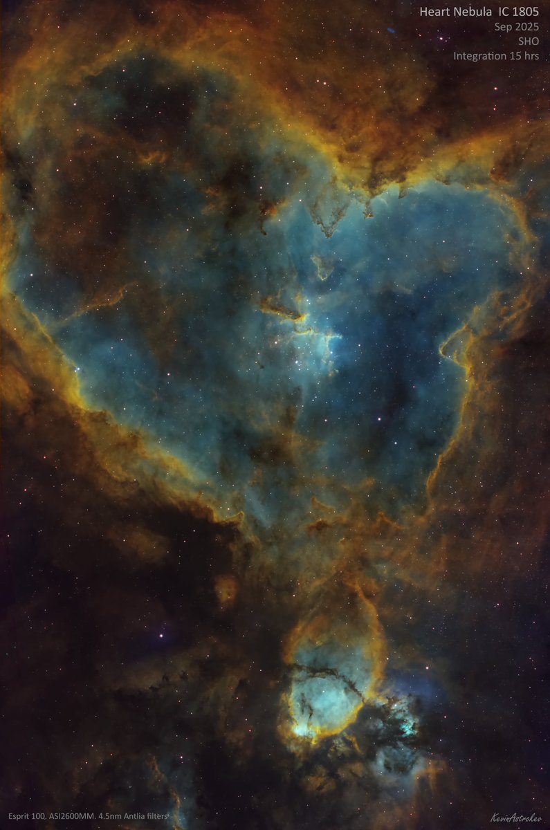 KevinAstrokev's tweet photo. A lovely target at this time of year, the Heart nebula. IC 1805.

Taken over 6 sessions during the last month. Processed in the false colour SHO "Hubble" palette to show the distribution of different gases that make up the nebula.

Total integration was just over 15 hours. https://t.co/pCKqdRotWn