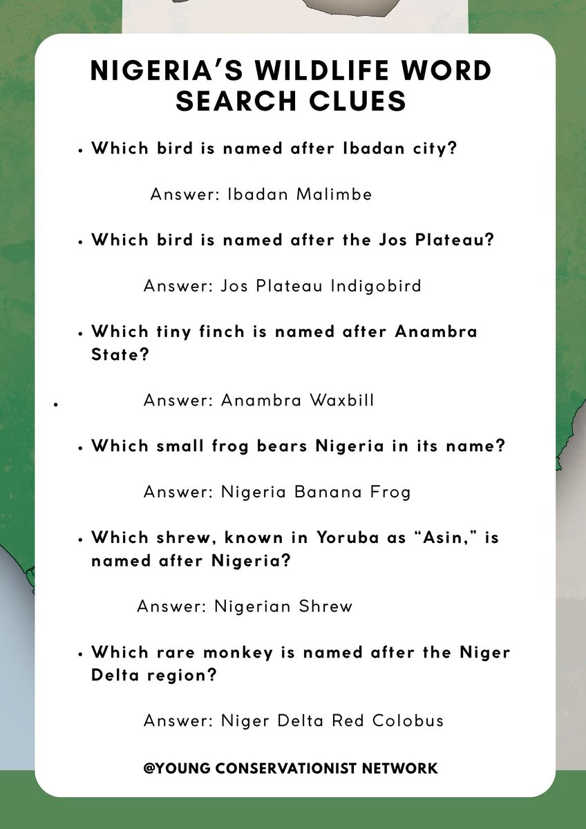 _YCNetwork's tweet image. Word search clues for the puzzle:x.com/_YCNetwork/sta…
#Nigeria #NigerianIndependenceDay #wildlife #youngconservationistnetwork