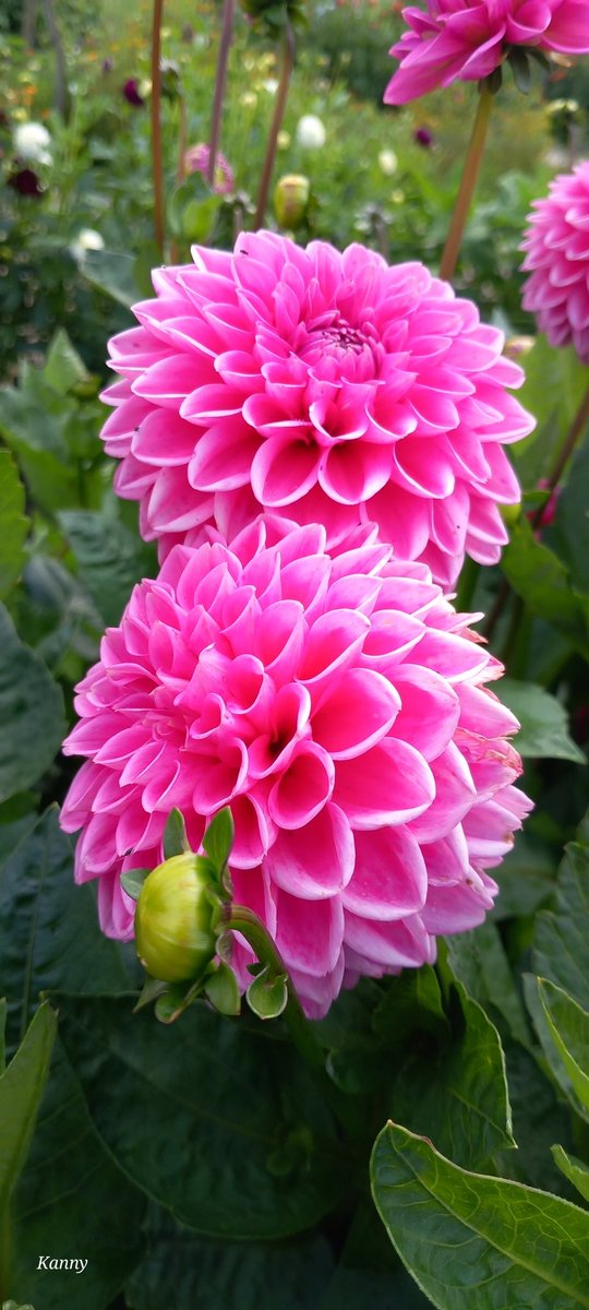 <a href="/Mary__llA/">💫🦋༆𝓶𝓪𝓻𝔂𝓵𝓵𝓪༆🦋💫</a>