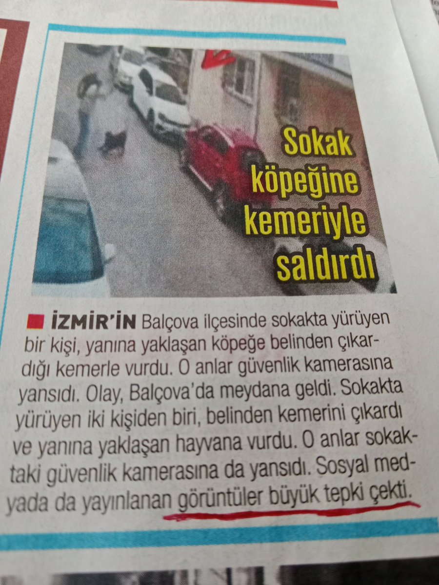 Edilgen bir ruh ve karekter yapısı, düşük zekaya göre basılan gazeteler haber/yorumuna örnek.
Ya ne yapacaktı!? 
Gel beni minnoş minnoş ısır diyecekti herhal.