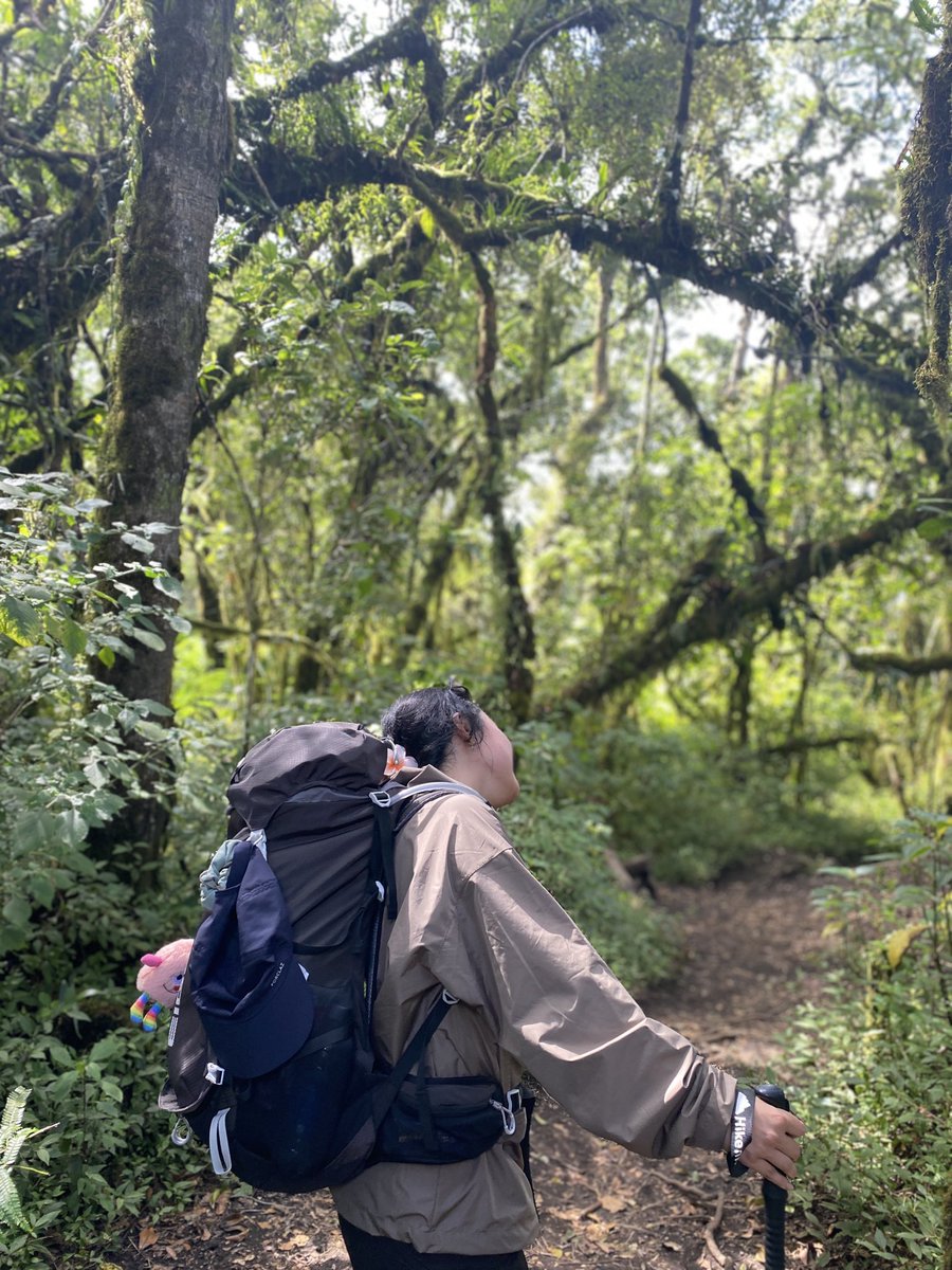 queen tweet media