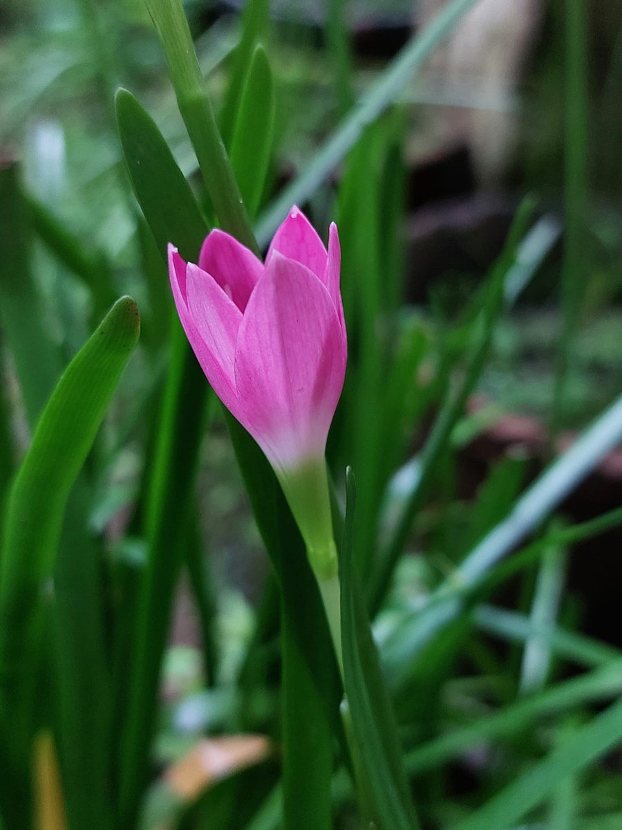 <a href="/Mary__llA/">💫🦋༆𝓶𝓪𝓻𝔂𝓵𝓵𝓪༆🦋💫</a>