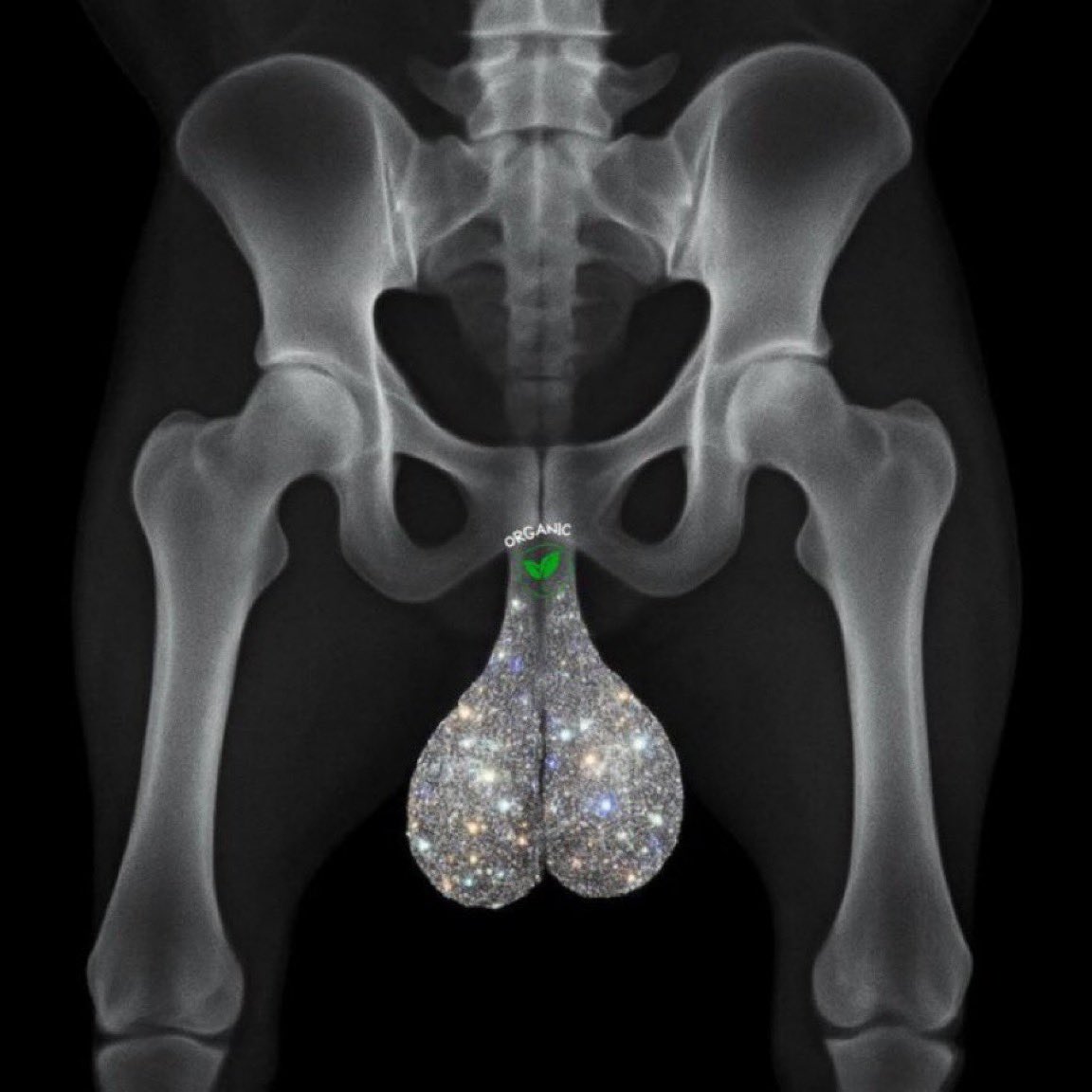 WIZZ🥷 ( beware scammers ) tweet media