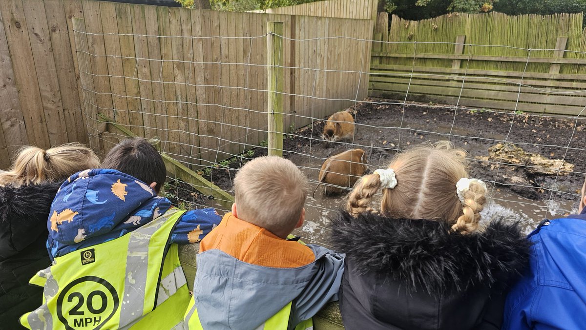 LsgcMrs's tweet photo. We had a great day at Knowsley Safari Park today. We took part in an "Animal Detectives" workshop, listened to a talk about sea lions and spotted animals from different groups on the foot safari and drive Safari. @MrGSGC #SGCScience https://t.co/pi8XNnQfcK