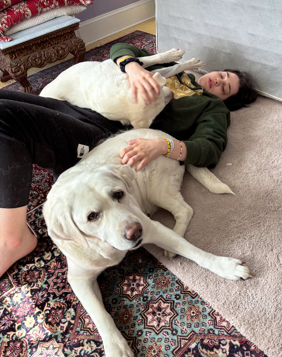 Dog pile time :)