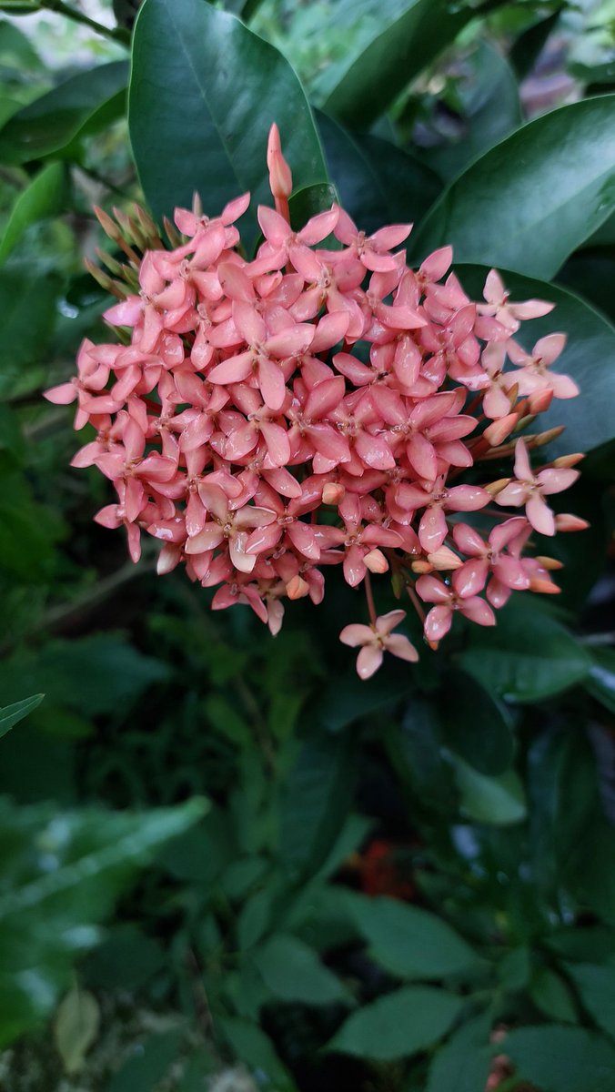 <a href="/Mary__llA/">💫🦋༆𝓶𝓪𝓻𝔂𝓵𝓵𝓪༆🦋💫</a>