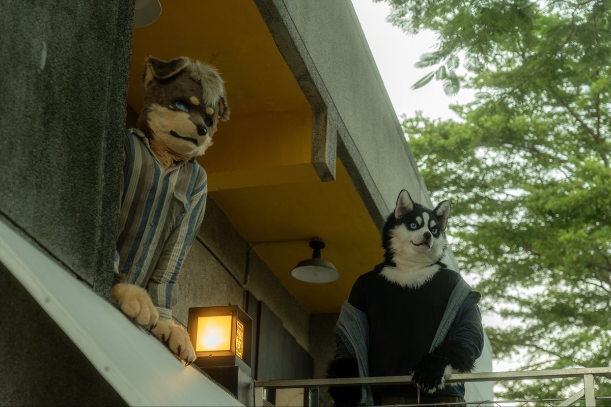 汪歐 | Wantallday 🔜 2026Thaitails tweet media