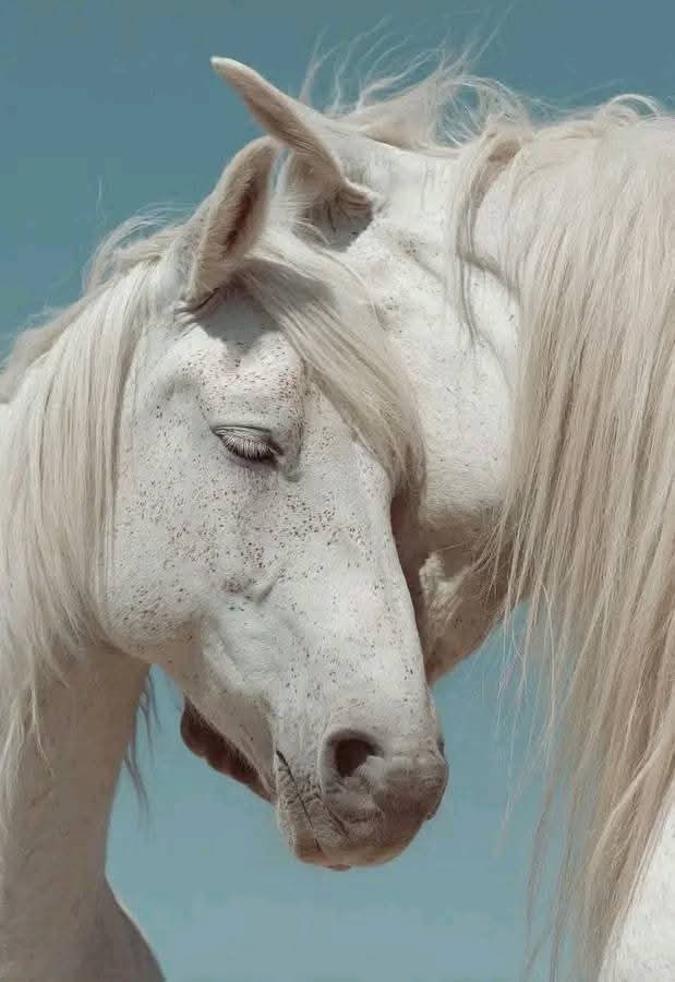 <a href="/y11j2/">ابو محمد</a> <a href="/1j1j5/">لبيك اللهم لبيك@ اي حساب غير محترم مكانه الحظر</a> <a href="/J9Alv/">💫🕊🪻⑅⃝♡ 🆂🅰🅰🆀🅸 ♡⑅⃝🪻🕊💫</a> <a href="/p_2di/">Ella🍂🔥</a> <a href="/_h_or/">𓋜ₒ ‏❁ ‏‏ ‏𝓗𝓸𝓸𝓻</a> <a href="/p_laie/">Laura</a> <a href="/p_zj1v/">ɕLᓄɹɹɹІ͛</a> <a href="/_at87/">60K 𝔞𝔩𝔡𝔴𝔬𝔫 𝔨𝔥𝔞𝔩𝔢𝔡</a> <a href="/IniSz1/">💛Irani💚</a> <a href="/1qqmr/">𝓦𝓐𝓐𝓓</a> <a href="/N2Sdv/">🌸Elaine🌸 ❌No Message❌</a> <a href="/2vwv6/">فــــيصل</a> <a href="/V13lula/">Karen Lúcia♀️🚩🌵</a> <a href="/Azhrls1/">AZHARUL SALMAN</a> <a href="/N2511O/">N💙</a> <a href="/ITMS95/">مصعب قبل التعديل</a> <a href="/Aa_ban1/">▄︻ #TmGriffins🦅︻▄</a> <a href="/Lea_Dhai/">🦉𝘗𝘳𝘪𝘯𝘤𝘦𝘴𝘴 𝘓𝘦𝘢𝘩🎖𝟭𝟲𝟬𝗞🌞</a> <a href="/12ZZZ22/">دختور🔥🔥</a> <a href="/TlayAnl1903/">TüL🅰️y</a> <a href="/DreamyTechGirl/">DreamyTechGirl 🌺🦋💙</a> <a href="/sdh_2031/">𓃵MBS🇸🇦 💛🖤🫶صالح الحلوان 🫶💛🖤🇸🇦 MBS 𓃵</a> <a href="/poohglm/">بوح القلم</a> <a href="/dqlyfy1sa/">👑ناري اليافي ✨ 🍂 💯fb</a> <a href="/mfq19591/">الصقر ألجارح {🟥}🟥🟥{ #رجاء_الخاص_ممنوع_مهمل🗑</a> <a href="/n_a8282/">الحمدلله</a> <a href="/SsaSM7/">السامريه</a> <a href="/Ali1_0o/">علي المحنشي</a> <a href="/1hs101/">أسيره الحب💞</a> <a href="/h_oorl/">🍒حور🍒</a> <a href="/y11j3/">ابو محمد</a> <a href="/y11j7/">ابو محمد</a> <a href="/y11j9/">ابو محمد</a> أللّٰـهُم أجْععَل ڪُل حياتِنا.
في رحَاب قولك : 
( فࢪِحِينَ بما اتاهم الله من فضلِهِ ) 🩵🤍

#ابومحمد الغالي سلمت ♥️ 
مساكم الله بالخير جميعاً 💐