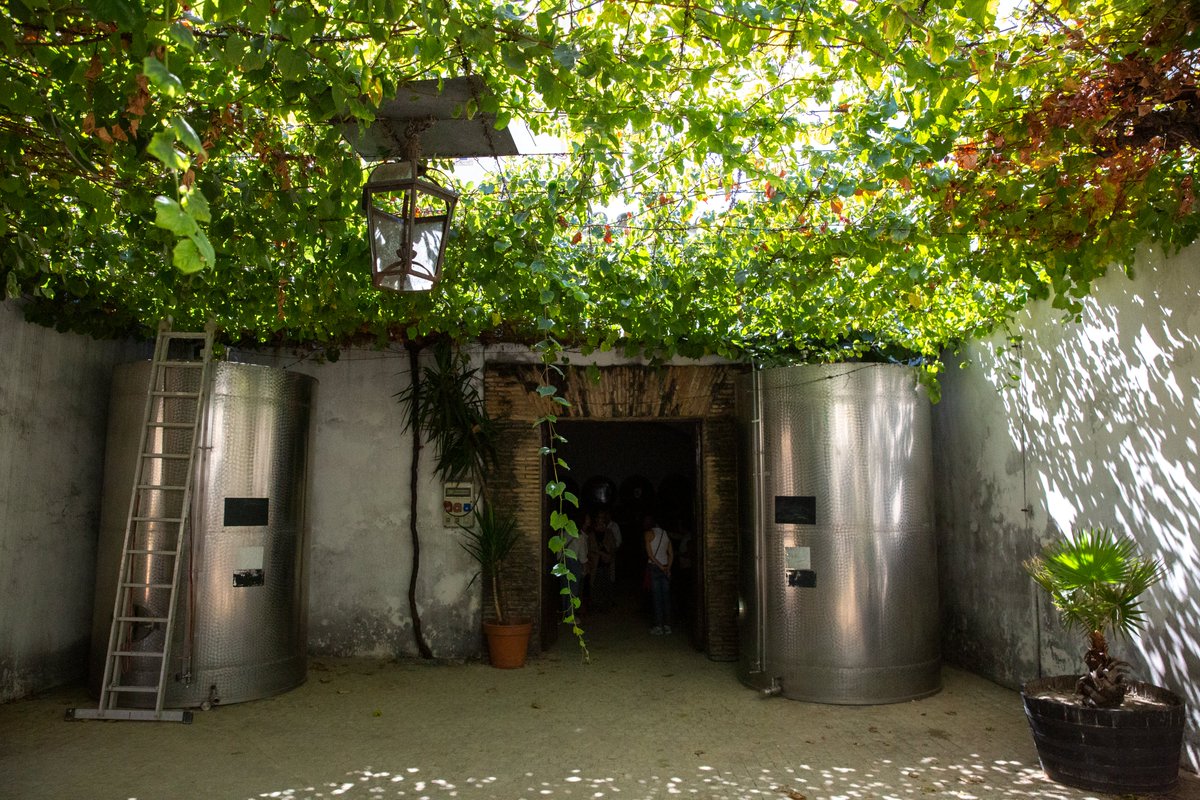 En Bodega Bertemati tenemos una referencia de cómo se quedan las viñas a primeros de otoño..

660 233 438
visitas@diezmerito.com
diezmerito.com/visitas-eventos

#DíezMérito
#Jerez