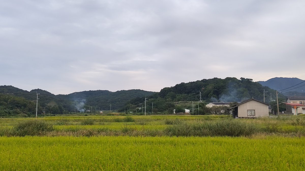 Kiba8Nekonosuke's tweet image. #JAPAN 
#japaneseOpenBurning
#OpenBurning
#Injuri from smoke
#Air pollution by smoke

2025年10月3日_0:30頃、消防署に昨日の野焼きに関わる事を問い合わせした。が、消防署には、事前連絡(火入れ)をした人物が_私が告げた所とは別の可能性が有り_🚨🚓署員が別場所に行ったのでないかと!?。次続