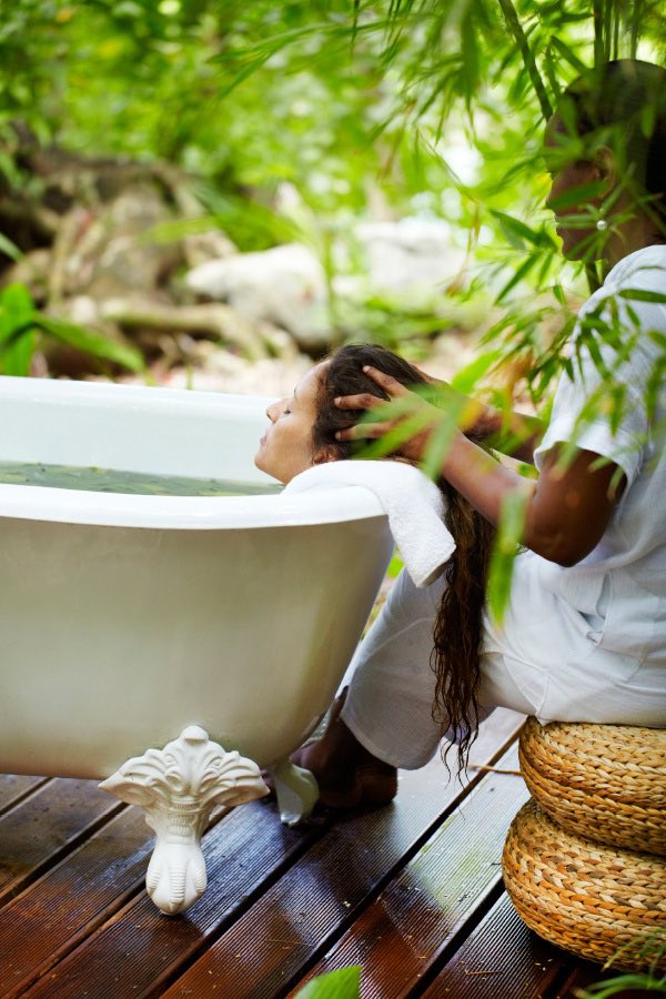 Le Petit Monde tweet media