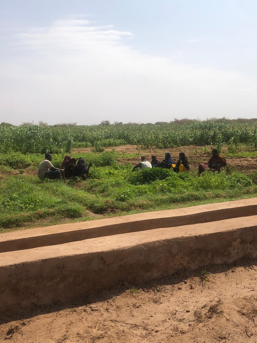LLG_aid's tweet image. Farmers in Tula Amin, Surgadud, and Qootay now have better access to water through newly constructed canals under the #HanaanoProject, with support from @Irish_Aid and in partnership with @Concern.

This milestone improves irrigation efficiency, supports climate adaptation, and…