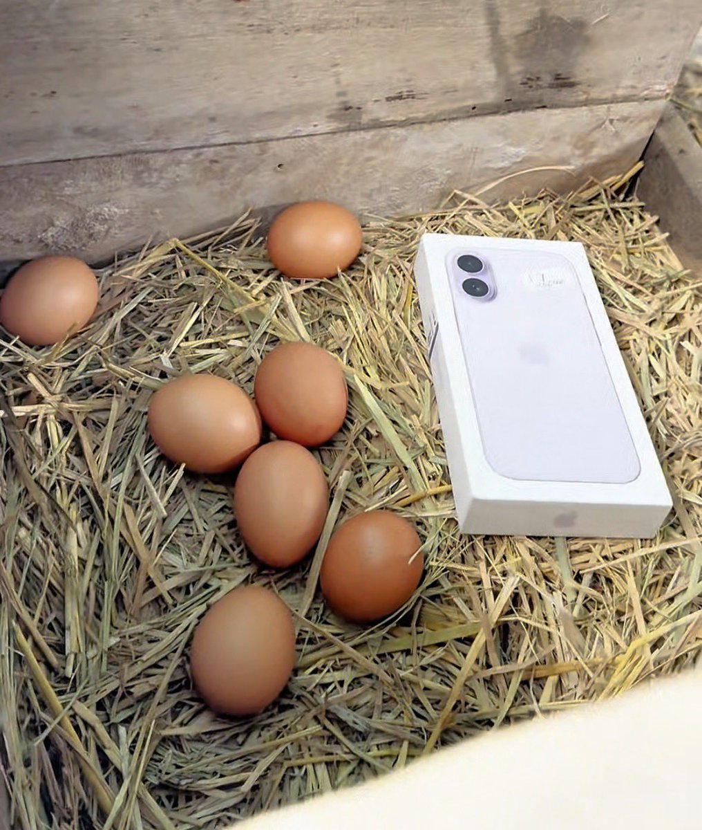 PRINCEAYOLAOYE's tweet image. “Agriculture must transition from subsistence struggle to a pathway of prosperity. By adopting smart, efficient, and high-yield practices, we can ensure national food security while positioning our produce for export and attracting foreign direct investment (FDI).” — A.Y.O LAOYE