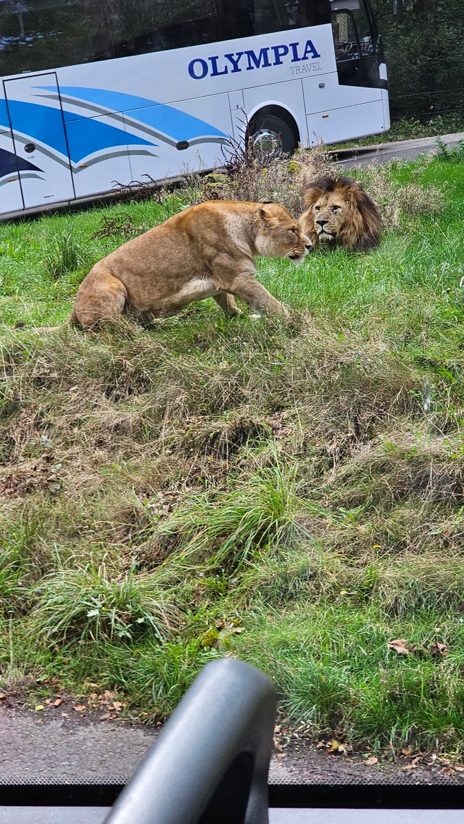 More photos from the Safari Park <a href="/MrGSGC/">Mr Grogan</a>
