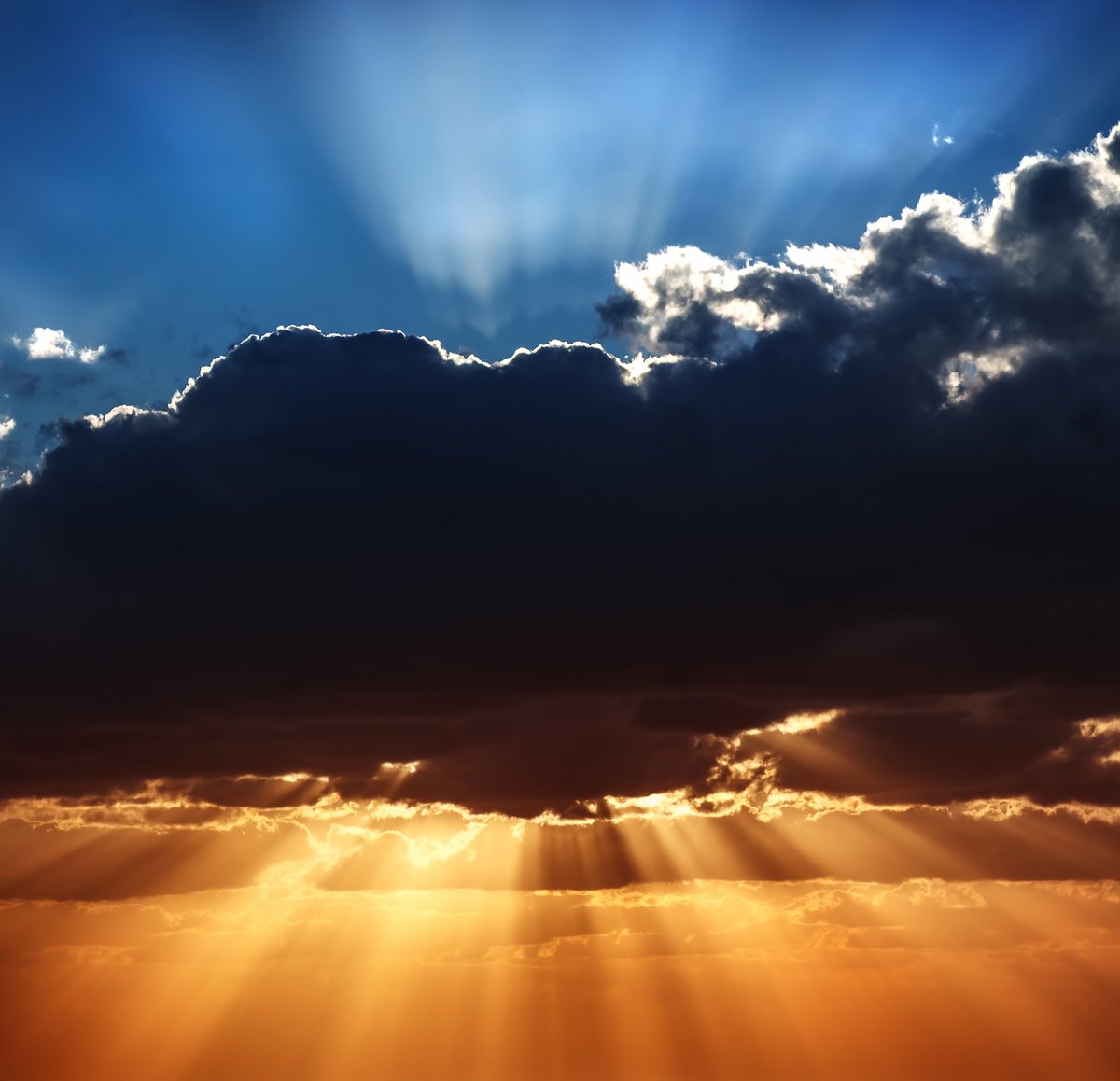 Our October Christian Report is Live! This month we focus on the goodness and sovereignty of God no matter what the circumstances. Don't let your heart be troubled!

👉 tinyurl.com/5cjek5ds