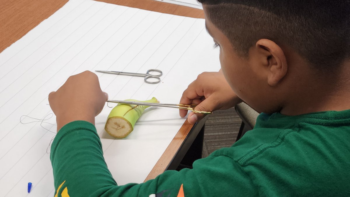 Right now, fifth grade students from Bryant Elementary are getting a sample of the different pathways offered in Career Academy.

Today's stations included health science, veterinary science, engineering, and agriculture!