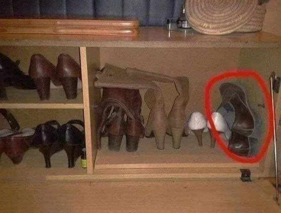 𒆜بَنت الُِاڪابَرٍ𒆜 tweet media