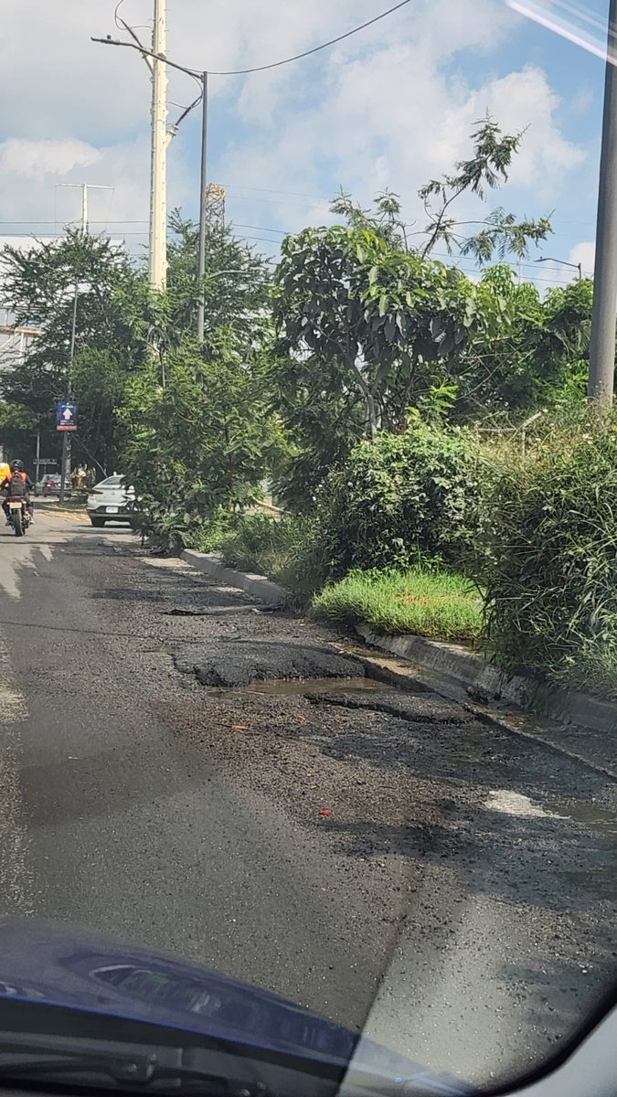 Colectivo Vecinal Bosque Urbano Tlaquepaque tweet media
