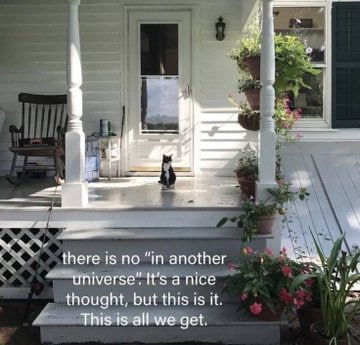 grayhsf0's tweet image. 