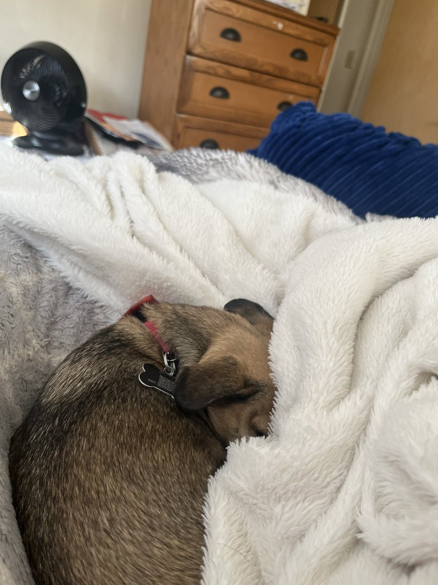 Robin Guymon (@robinsguymon) on Twitter photo 