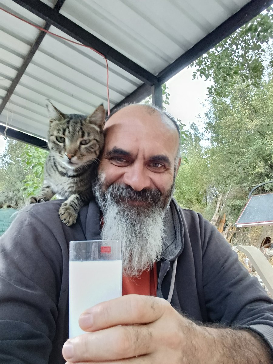 Güz başı rakısı 🍁 Kedili 🐱