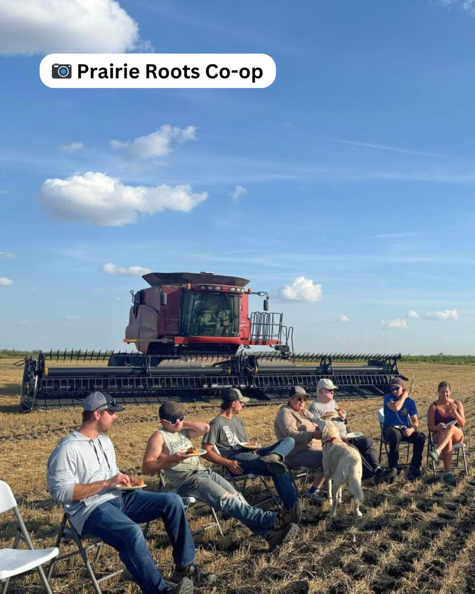 Meals in the Field continue to make the rounds this harvest. 🚜🍽️ 

These meals are about more than good food. They’re about connection, conversation, and supporting the hard-working farmers who are working overtime to feed the world.  

<a href="/crnrstoneCoop/">Cornerstone Co-op 🇨🇦</a> <a href="/PrairieRootsAg/">Prairie Roots Co-op Agro</a>