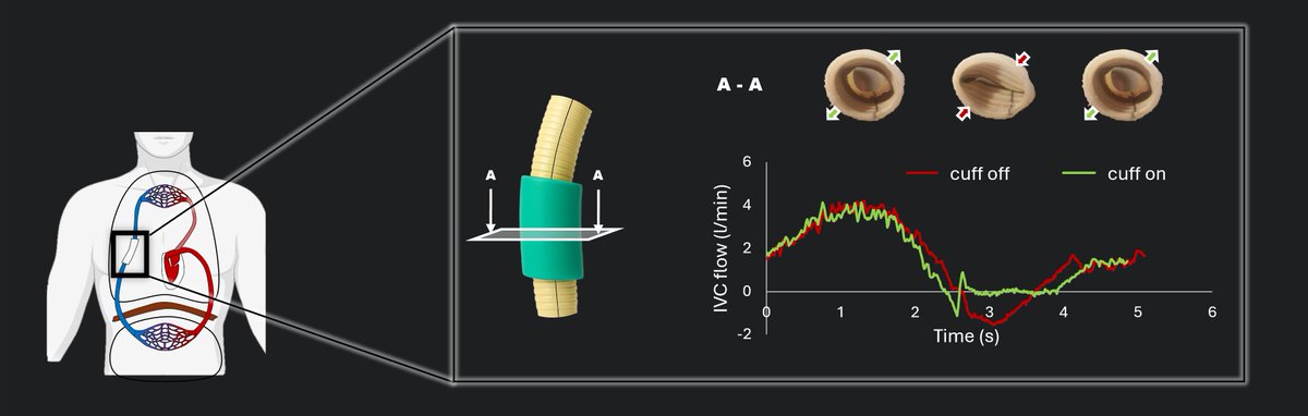 Congenital Cardiology Today tweet media