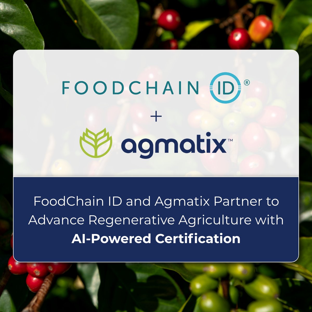 We’re excited to join forces with FoodChain ID a global leader in food safety, quality, and sustainability certifications, to bring greater scale and credibility to regenerative agriculture.

🔗 View the press release here: hubs.li/Q03LZ89m0