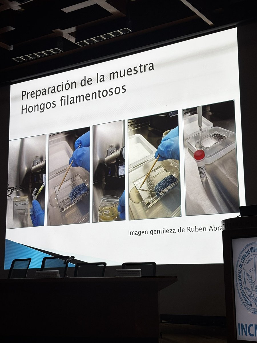 Fer Gonzalez Lara tweet media