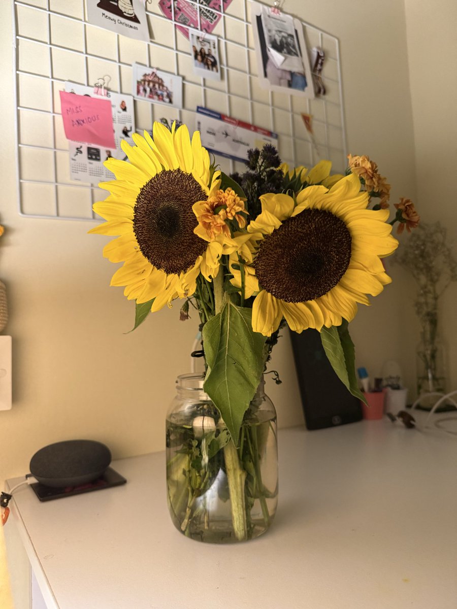 thenidhisingh's tweet photo. jugaado-ed a vase for my pretty flowers https://t.co/1ktHl3qdc2
