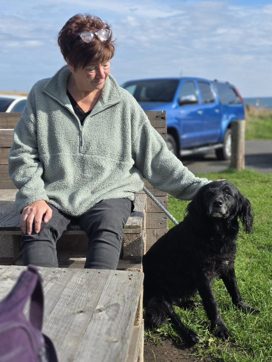 SpringerSaint's tweet photo. And Iona and Islay got lots of fusses from Auntie Super Spaniels @SpanielsSuper https://t.co/HtCtN8joqF