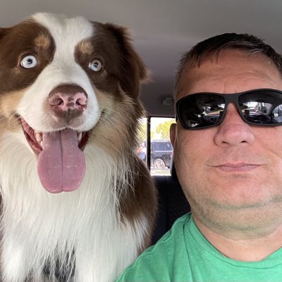 Phil Harding tweet media