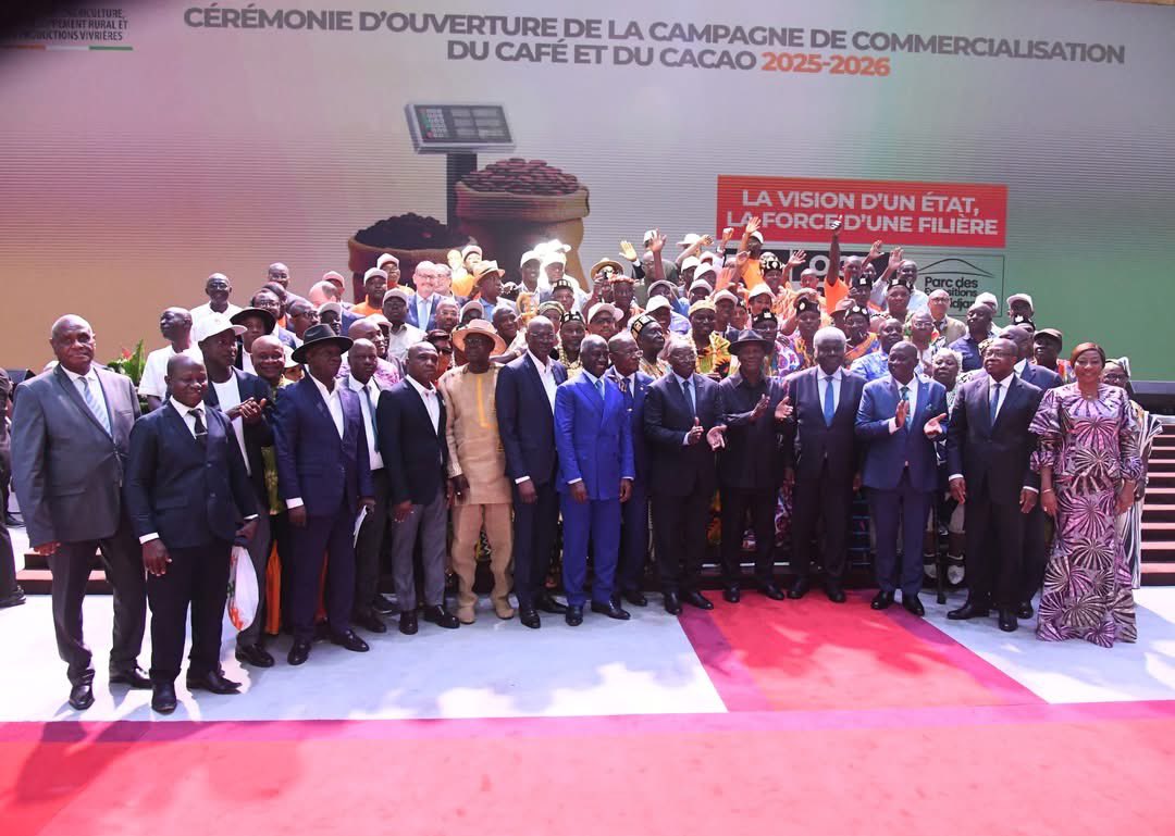 Alex Assanvo tweet media