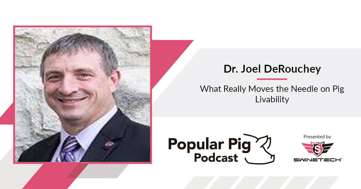 Pig livability is one of the swine industry’s toughest challenges. Hear Dr. Joel DeRouchey share what works (and what doesn’t) when it comes to piglet survival. #PigCare #SwineTech 

hubs.ly/Q03LY_nx0