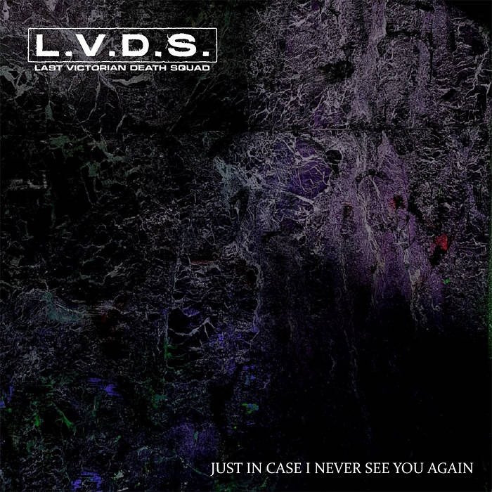Just In Case I Never See You Again by Last Victorian Death Squad is available on Spotify and more.

#noisegaze #shorediverecords #grindethos #shoegaze #lastvictoriandeathsquad