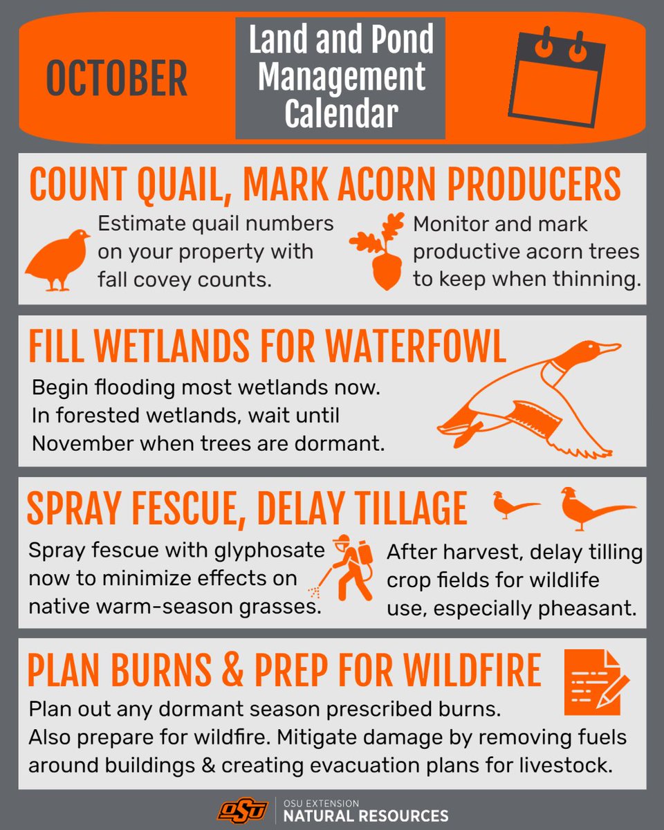 October Land and Pond Management Calendar

Count Quail: Estimate quail numbers on your property with fall covey counts.

Mark Acorn Producers: Monitor and mark productive acorn trees to keep when thinning.

Fill Wetlands for Waterfowl: Begin flooding most wetlands now. In