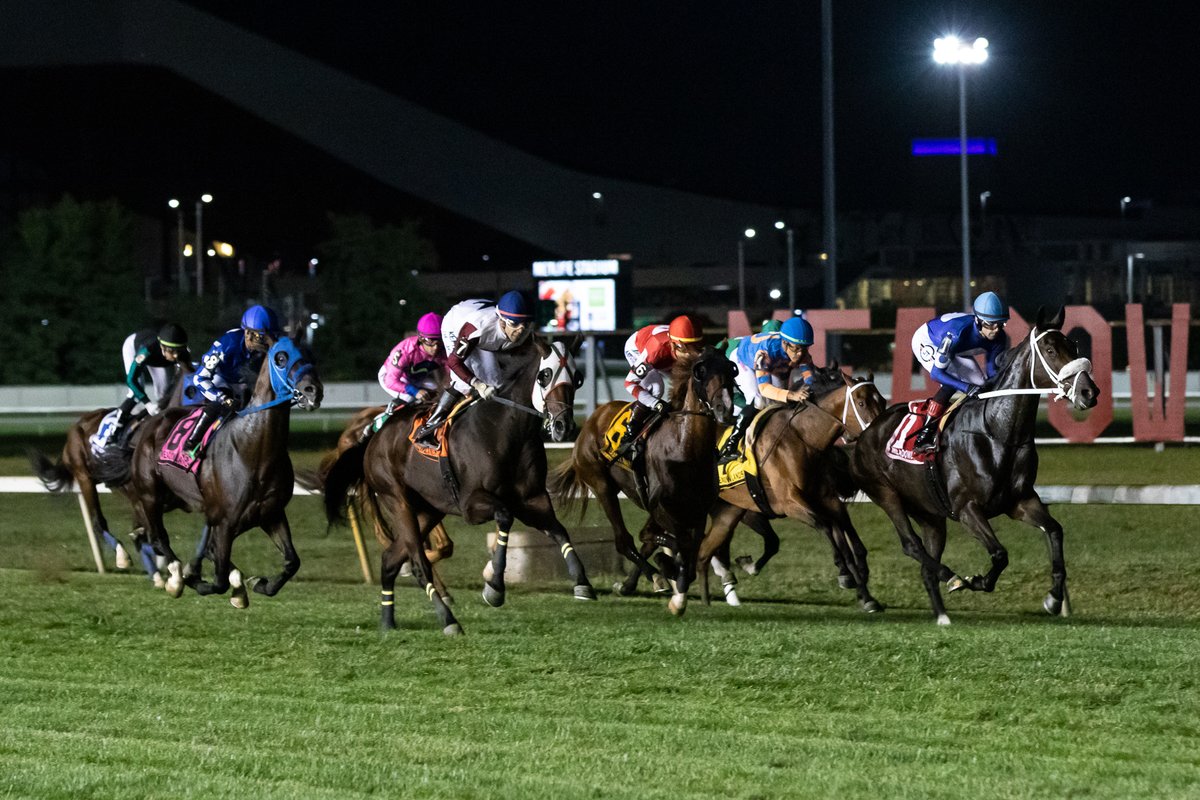TheMeadowlands's tweet photo. Third weekend of the MP @ Meadowlands Turf Meet. 
6 turf races both Friday and Saturday night - 7pm post
#playbigm #MeadowlandsRacetrack #TurfRacing https://t.co/9ARVS4mLc7