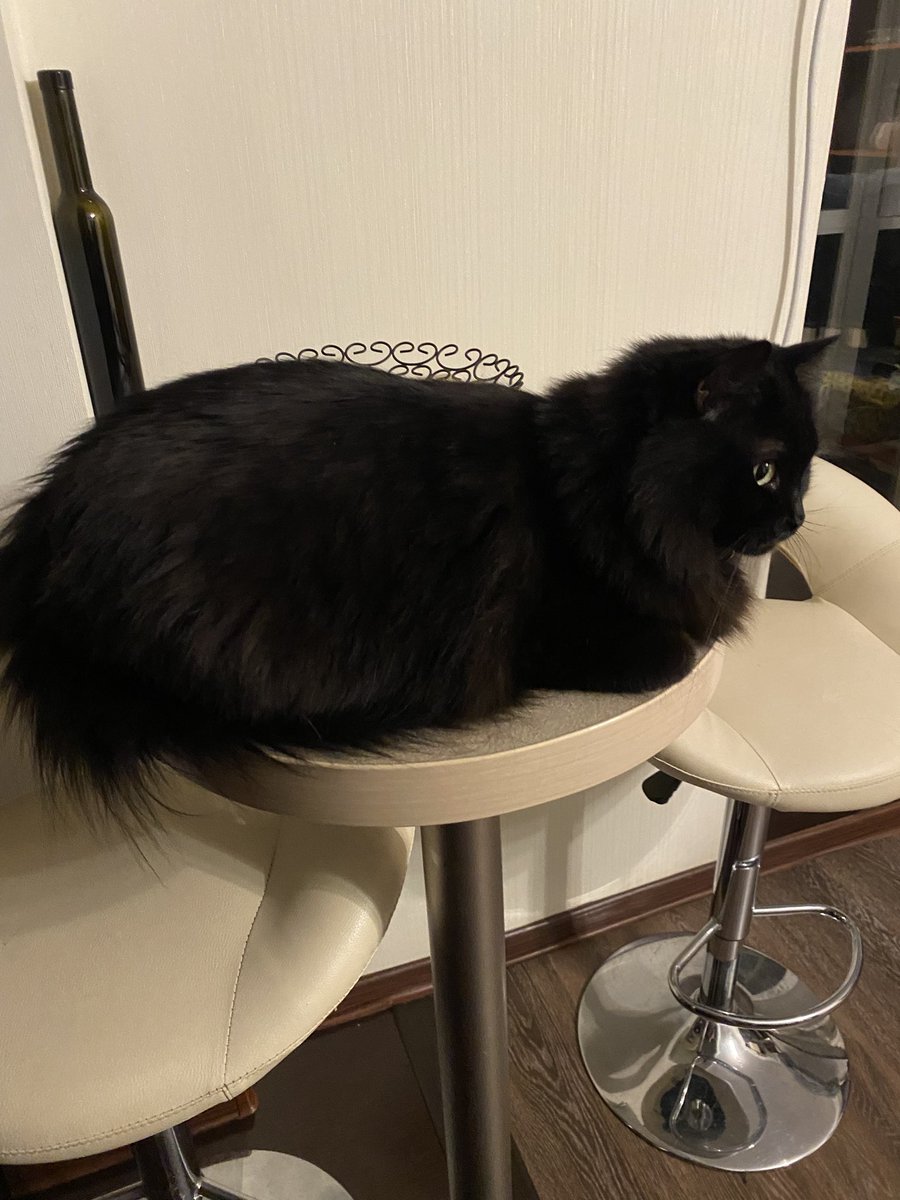 норма по жукам