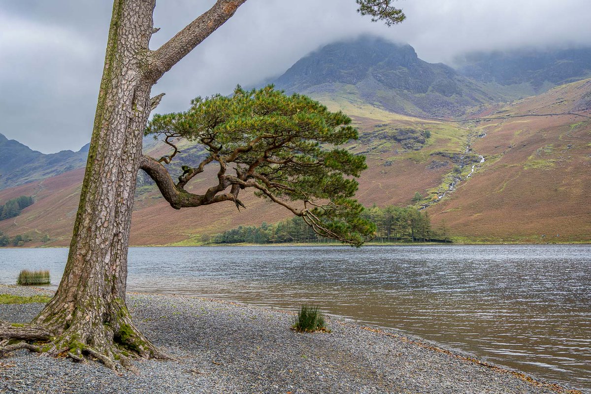 andrewswalks's tweet image. A walk in the rain around Buttermere today, with a visit to St James&apos; Church and the Wainwright memorial tablet: &apos;Lift your eyes to Haystacks his favourite place&apos;