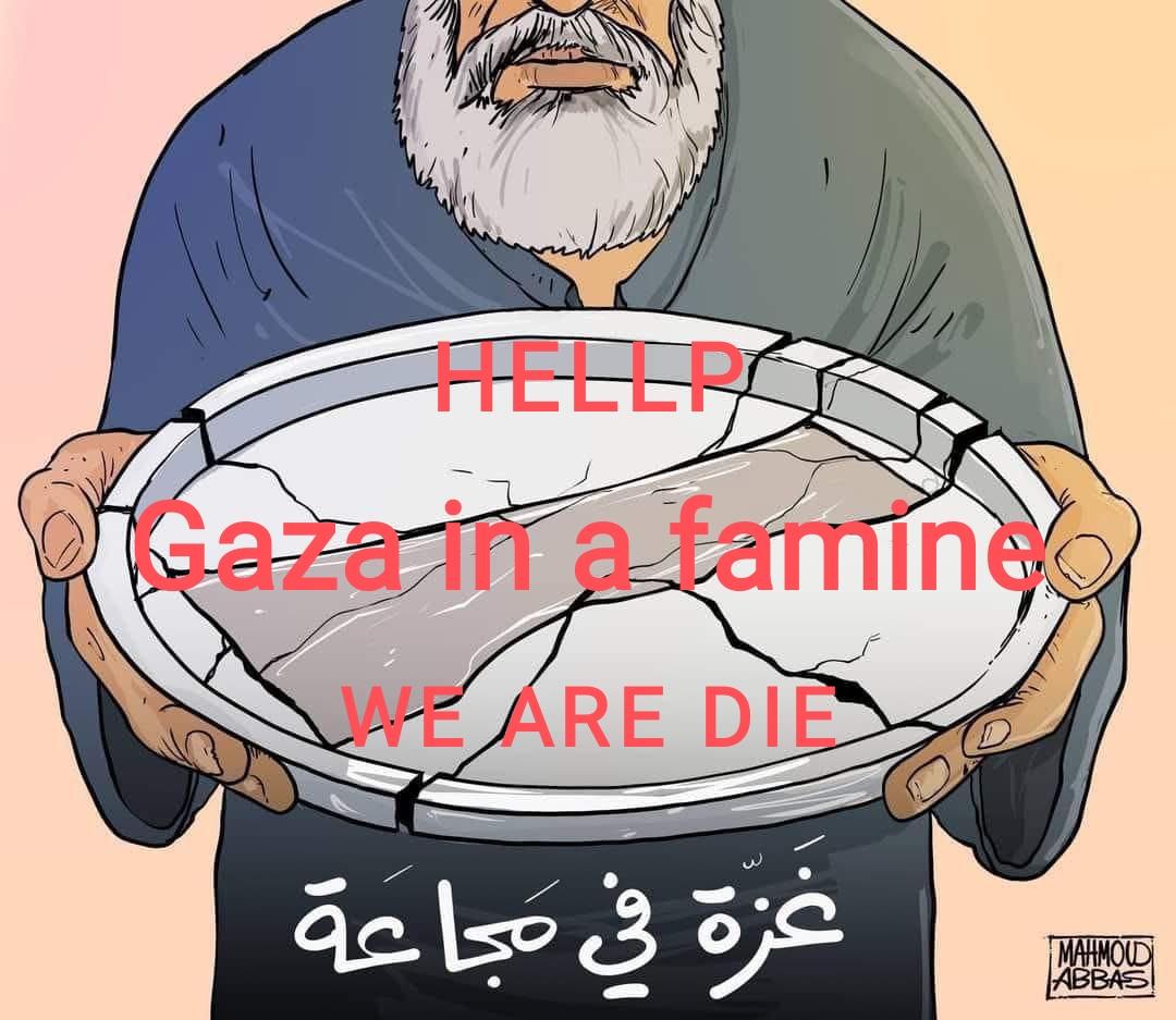 mai in gaza tweet media
