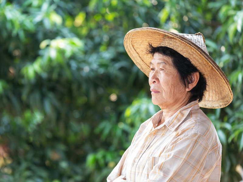 jmirpub's tweet image. New in JMIR Aging: Gender Differences in the Digital Divide, Digital Back-Feeding, and Health-Related Quality of Life Among Rural Older Adults: Cross-Sectional Study dlvr.it/TNR4dG #DigitalDivide #RuralHealth #ElderlyCare #HealthQuality #DigitalInclusion