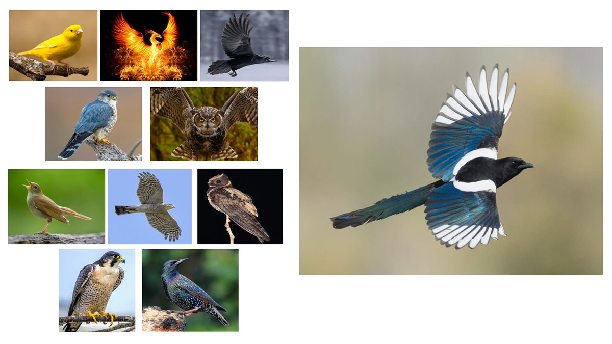 Prof Dimitra Fimi tweet media