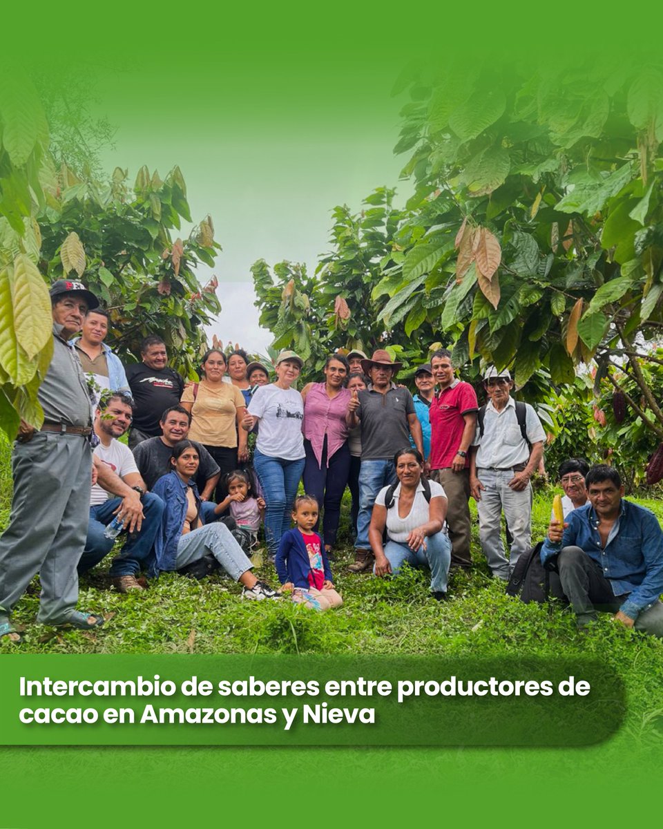 PROGRESO3's tweet image. Productores y productoras de la zonal 5 Ríos del Marañón – Imaza participaron en un intercambio en Chiangos (comunidad Uracuza, Nieva), aplicando la metodología “Campesino a Campesino”.
📍Proyecto Resiliencia, que coopera @BROT_furdiewelt,  con la colaboración de @CoopNorandino .