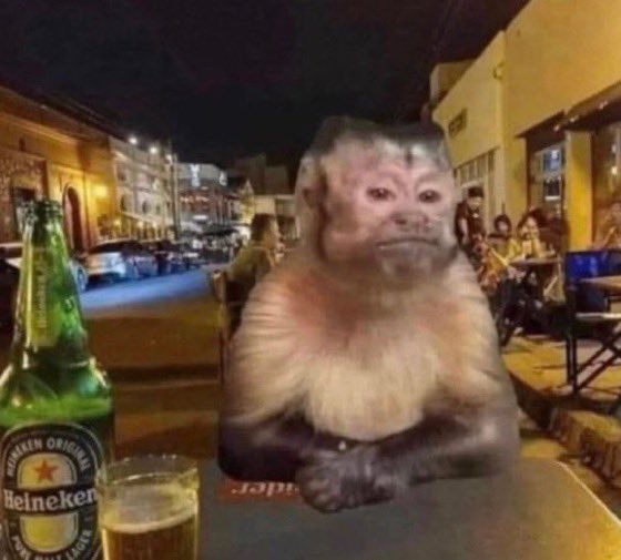 i miss judging people on twitter based on their likes