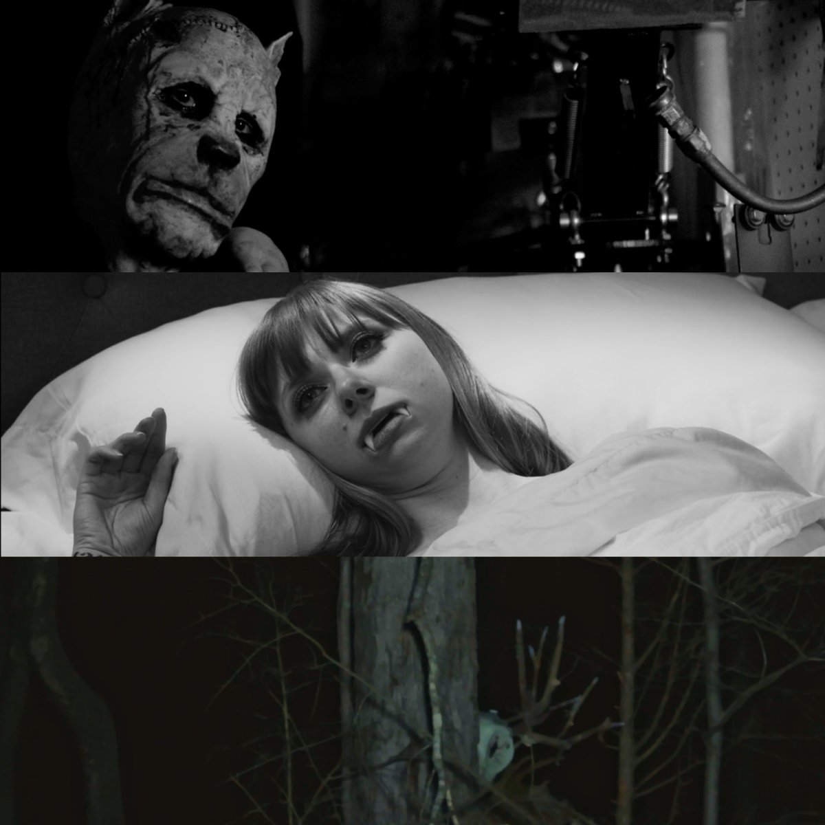 Terror Films tweet media