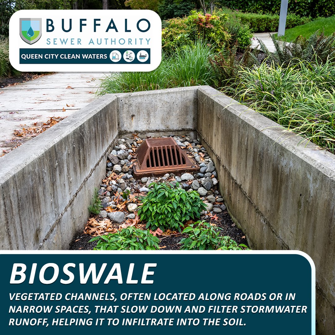 The Queen City Clean Waters Initiative features the implementation of green infrastructure to tackle stormwater challenges. 
Bioswales are one example of a natural system to manage stormwater overflows.