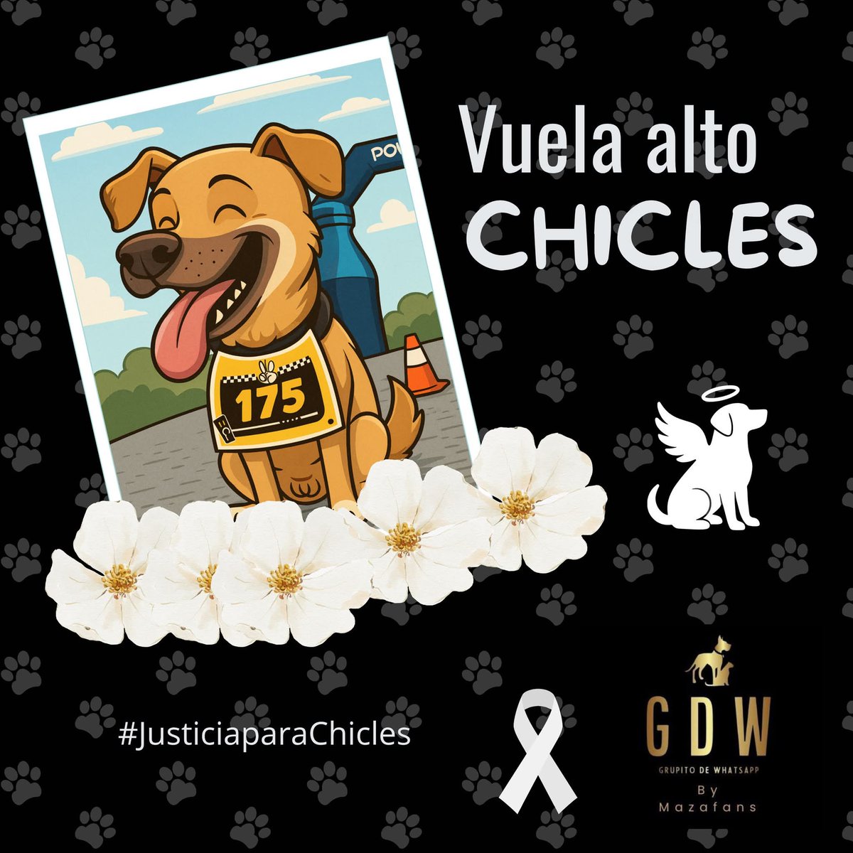 lili_doradoing's tweet photo. @DiloConPerritos Cómo pudieron hacerle eso a #Chicles ojalá encuentren a los asesinos y los condenen.
🙏🏻😞✨🐶 https://t.co/okLauRav5w