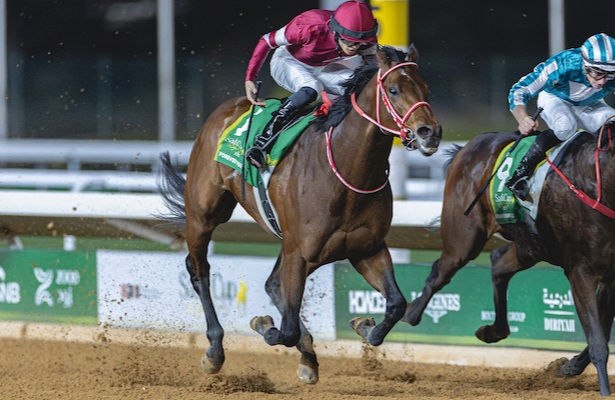Division rankings: Forever Young joins the <a href="/BreedersCup/">Breeders' Cup</a> party, but <a href="/DoctorDerby/">Chip Gehrke</a> has doubts.

horseracingnation.com/blogs/Doctor/D…

📸: Kaz Ishida / Eclipse Sportswire