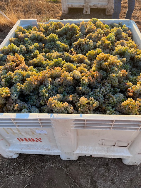 Fall News + Harvest Updates - mailchi.mp/2f0476eaeefd/o…